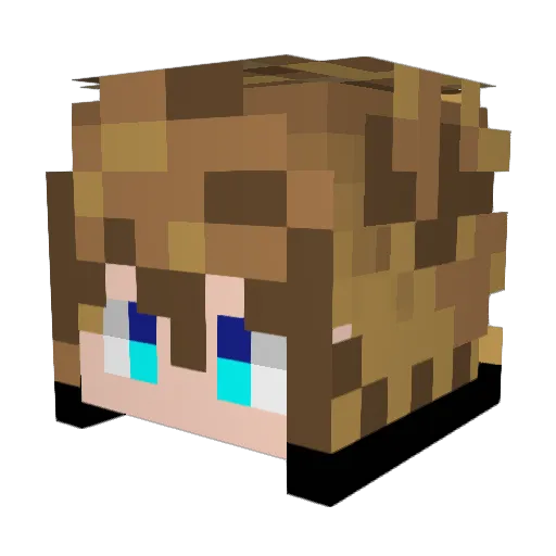 Diorppt Minecraft avatar head, 3D render