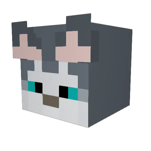 Dios_Diego Minecraft avatar head, 3D render