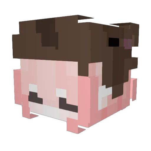Diosmin Minecraft avatar head, 3D render