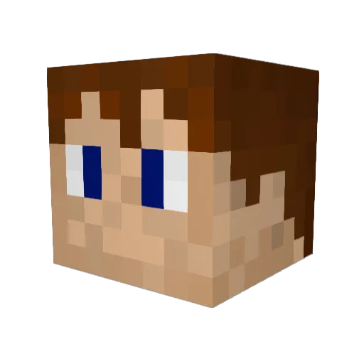 Dioxcuro Minecraft avatar head, 3D render