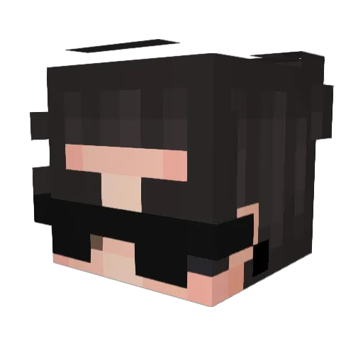 Dioxine14 Minecraft avatar head, 3D render