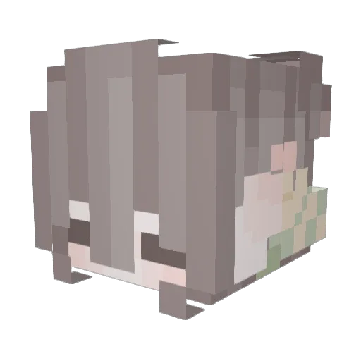 Dip69 Minecraft avatar head, 3D render