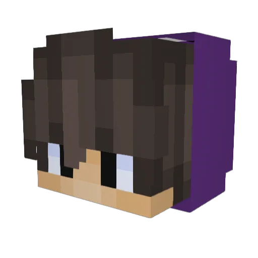 DipBedford Minecraft avatar head, 3D render