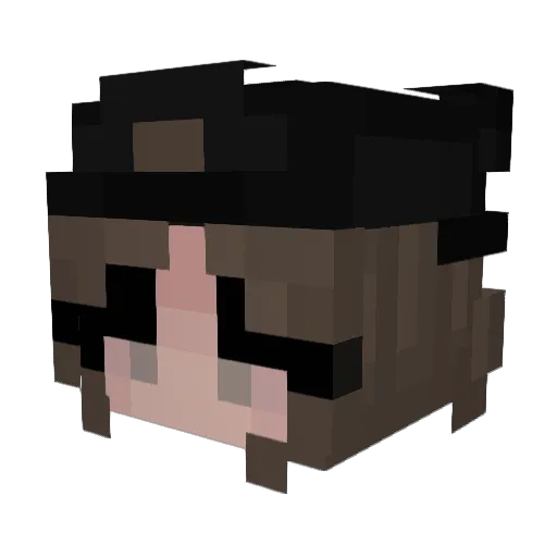 DipCon3 Minecraft avatar head, 3D render
