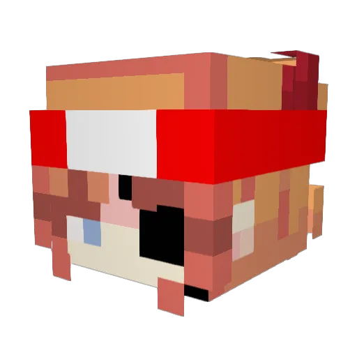 Dipexx Minecraft avatar head, 3D render