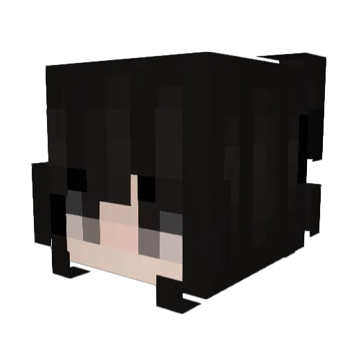 Dipiarca Minecraft avatar head, 3D render