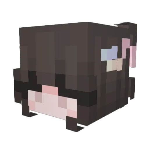 Dipie Minecraft avatar head, 3D render
