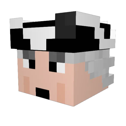 Diplodocus12324 Minecraft avatar head, 3D render