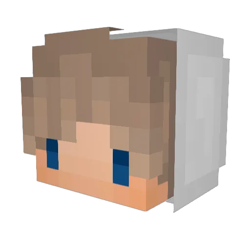 Diplomatics Minecraft avatar head, 3D render