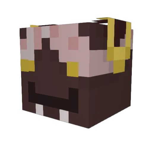 Diploop Minecraft avatar head, 3D render