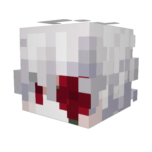 DipolarEgg48391 Minecraft avatar head, 3D render