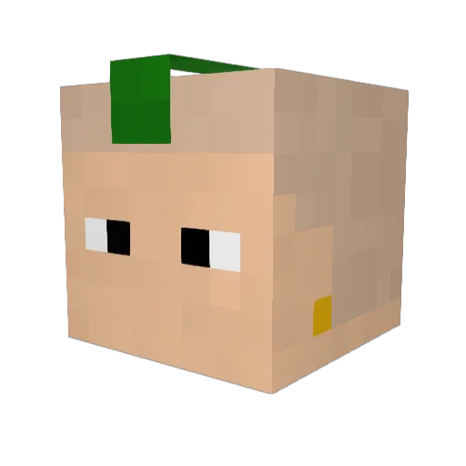 Dippeer Minecraft avatar head, 3D render