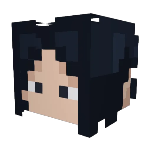 Dippelbruder Minecraft avatar head, 3D render