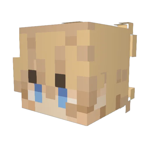 Dippin_Sauce Minecraft avatar head, 3D render