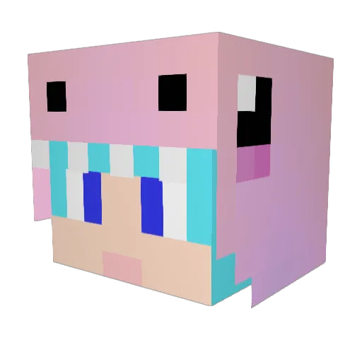 Dipplez Minecraft avatar head, 3D render