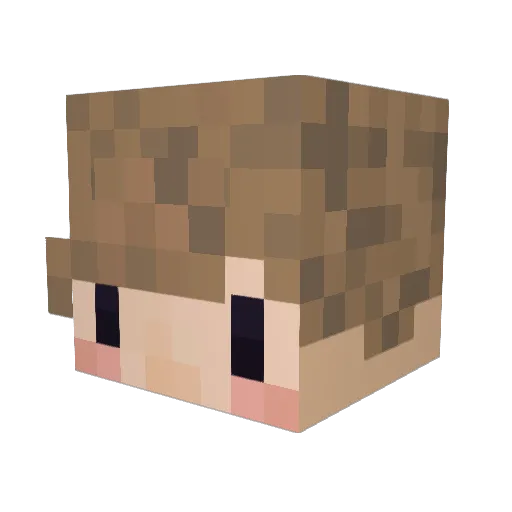 Dippy2k Minecraft avatar head, 3D render