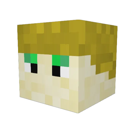 Dippy_918 Minecraft avatar head, 3D render