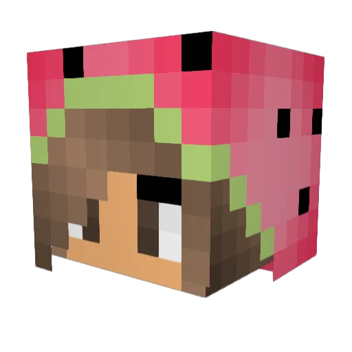 DipsyDay Minecraft avatar head, 3D render
