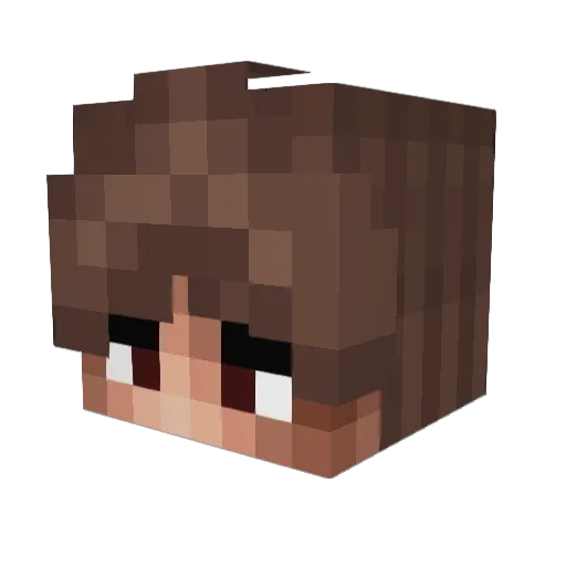 Dipwit Minecraft avatar head, 3D render
