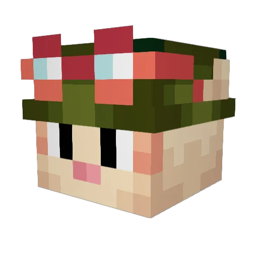 DireWolf33 Minecraft avatar head, 3D render
