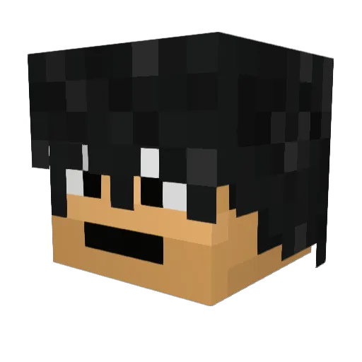 Dire_4 Minecraft avatar head, 3D render