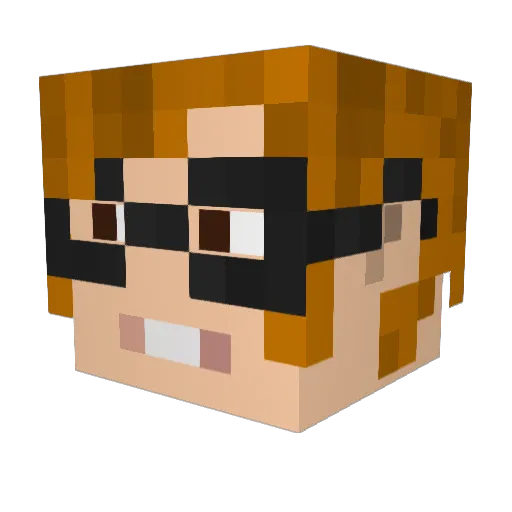 Dire_Strike Minecraft avatar head, 3D render