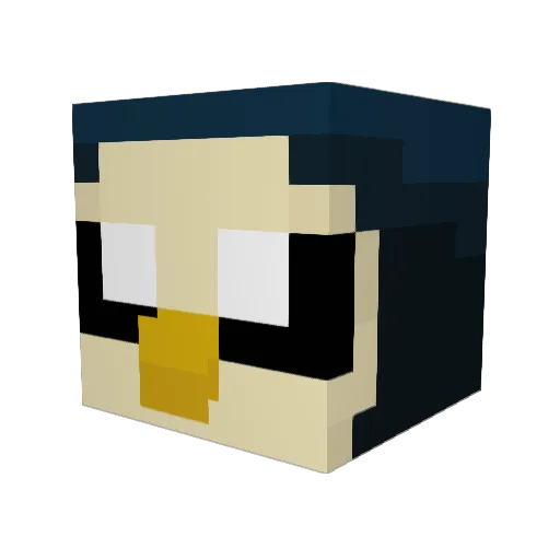 DirectSquire782 Minecraft avatar head, 3D render