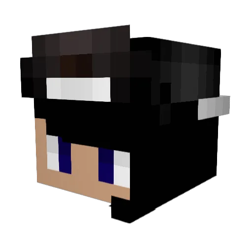 Directioner585 Minecraft avatar head, 3D render
