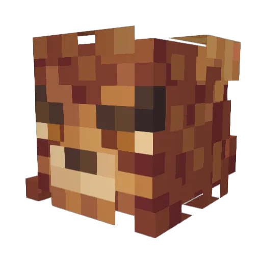 DirectoryManx5 Minecraft avatar head, 3D render