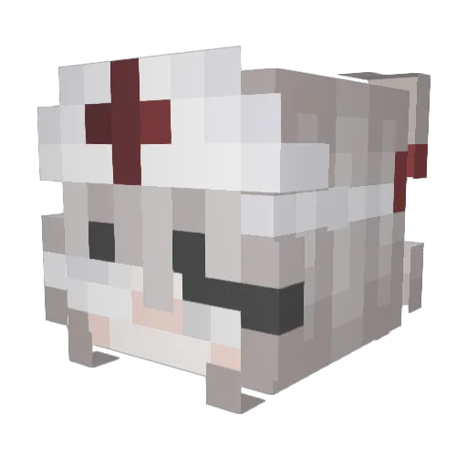 DirefulCloudSS Minecraft avatar head, 3D render