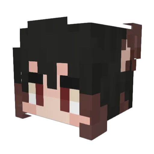 DirfoxPYT Minecraft avatar head, 3D render