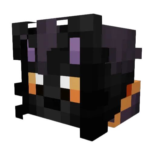 DirgeofSwans Minecraft avatar head, 3D render
