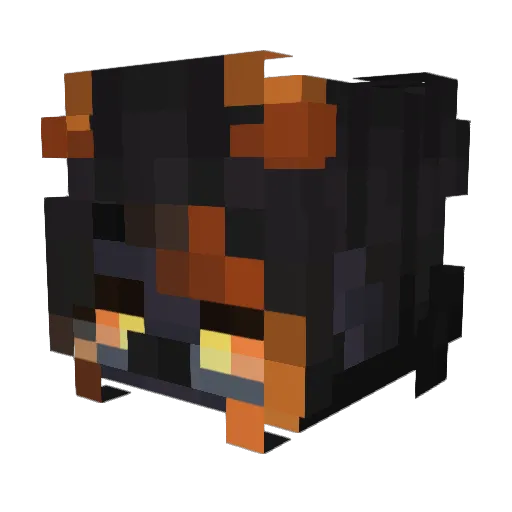 Dirkosy Minecraft avatar head, 3D render