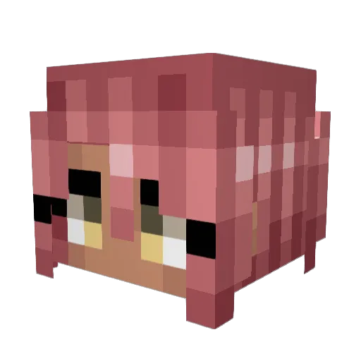 Dirksolomon Minecraft avatar head, 3D render