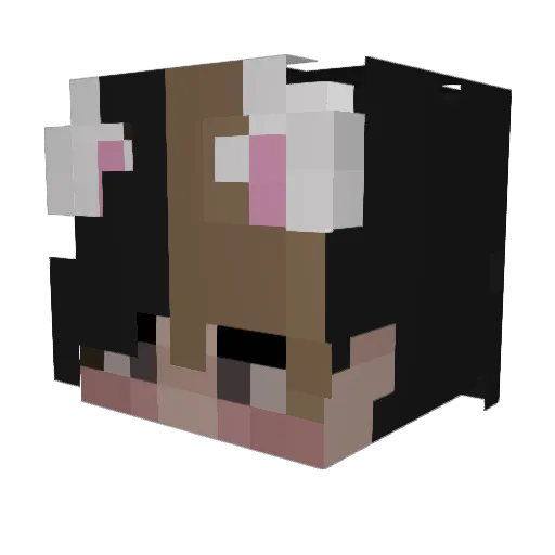 DirtCobain9 Minecraft avatar head, 3D render