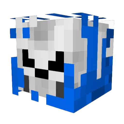 DirtRider14 Minecraft avatar head, 3D render