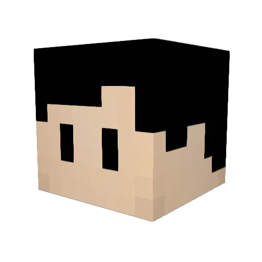 Dirt_Bean Minecraft avatar head, 3D render