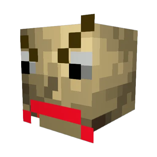 Dirt_Dirtleton Minecraft avatar head, 3D render