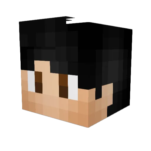 DirtaCraft Minecraft avatar head, 3D render