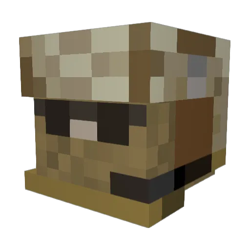 Dirtbikenm Minecraft avatar head, 3D render