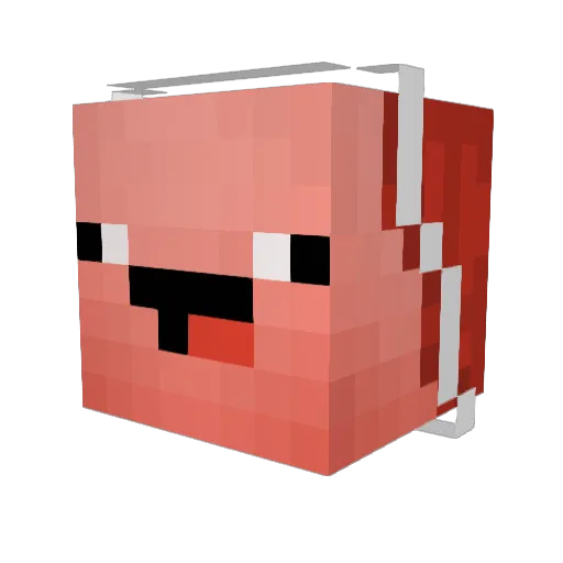 Dirtbikingg Minecraft avatar head, 3D render