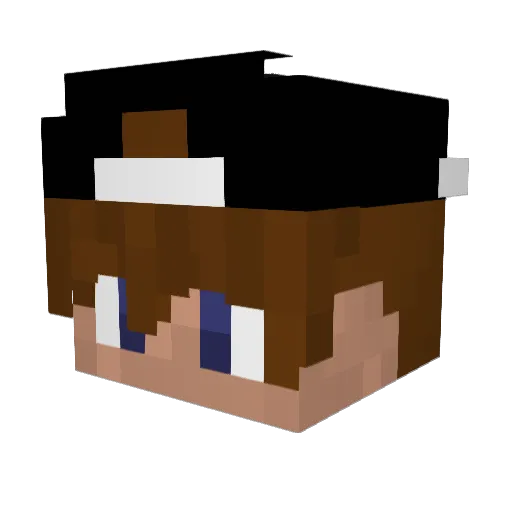 Dirtblock_27 Minecraft avatar head, 3D render