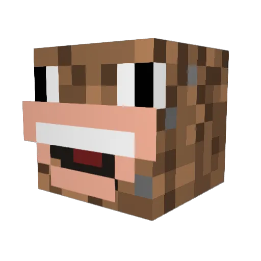 Dirtkun Minecraft avatar head, 3D render