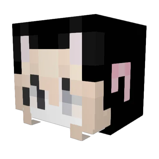 Dirtwad Minecraft avatar head, 3D render