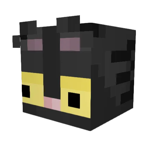 Dirty555 Minecraft avatar head, 3D render