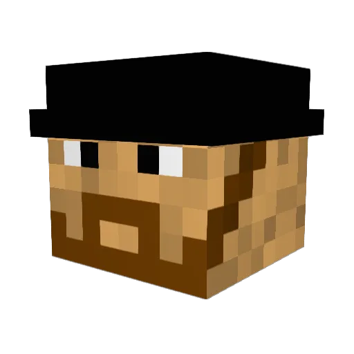 DirtyDingusMagee Minecraft avatar head, 3D render