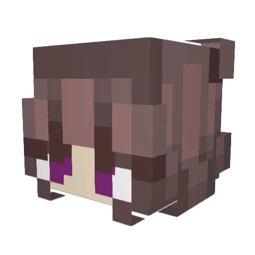 DirtyDuck188 Minecraft avatar head, 3D render