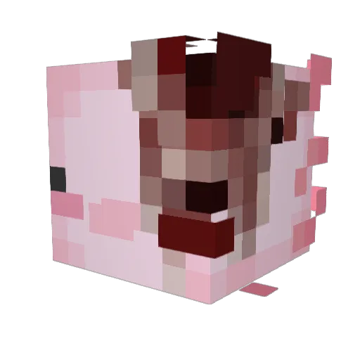 DirtyF0 Minecraft avatar head, 3D render