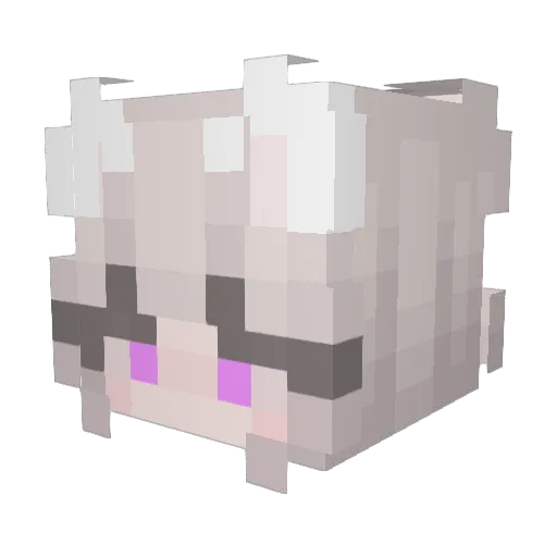 DirtyMeow Minecraft avatar head, 3D render