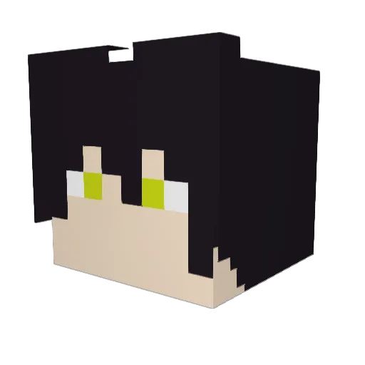 DirtyMonkey303 Minecraft avatar head, 3D render